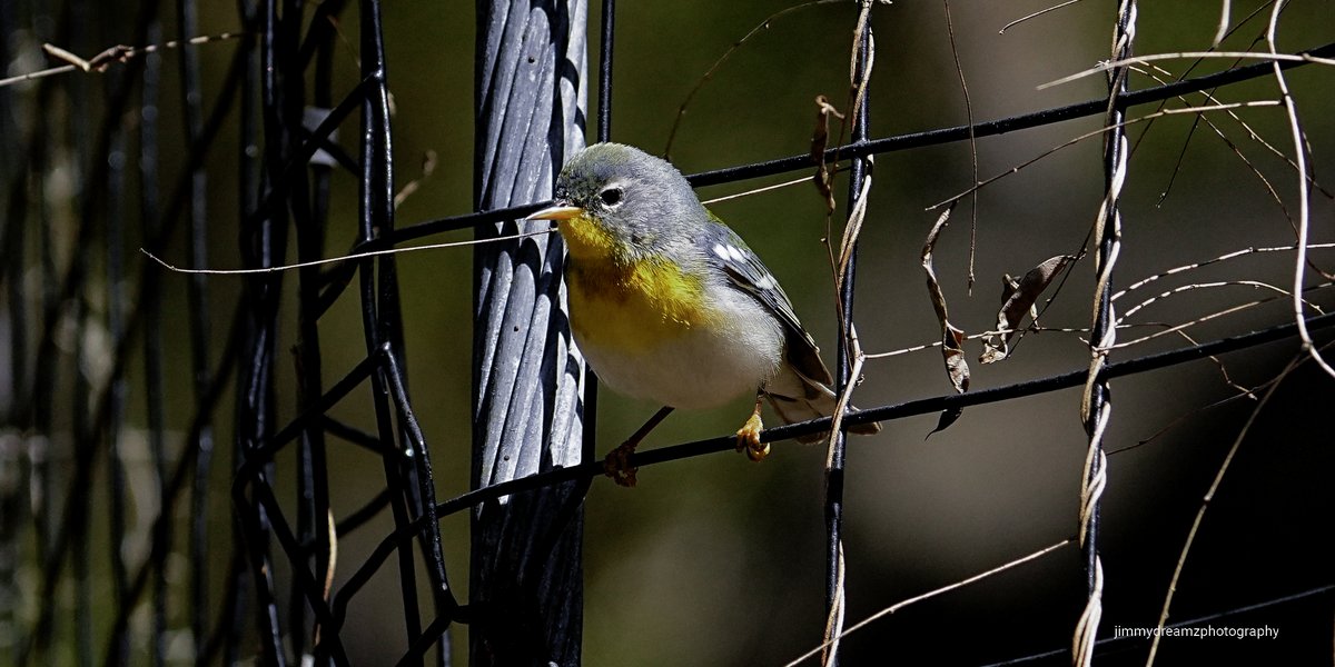 Jim O'Neil tweet media