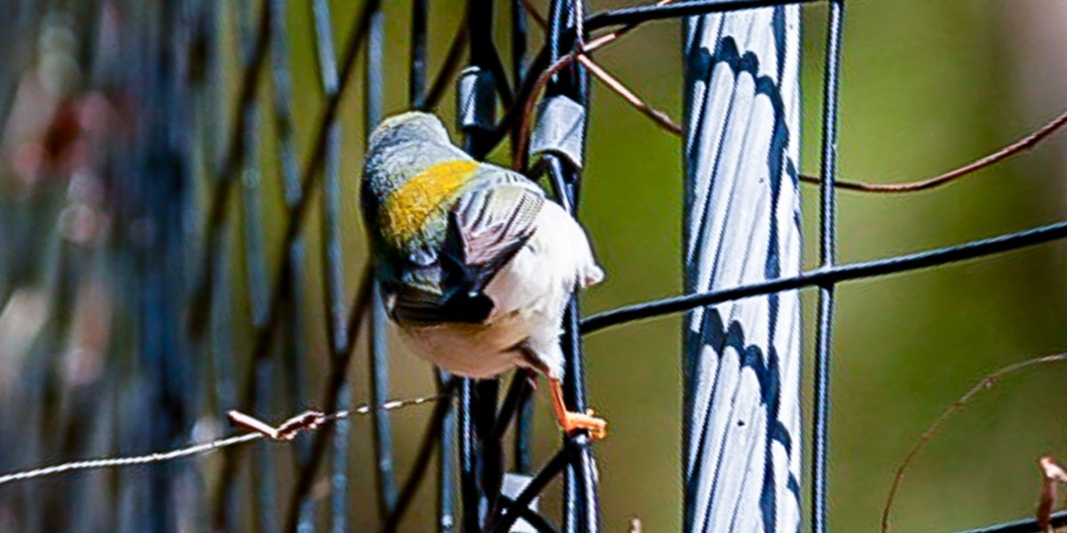 Jim O'Neil tweet media