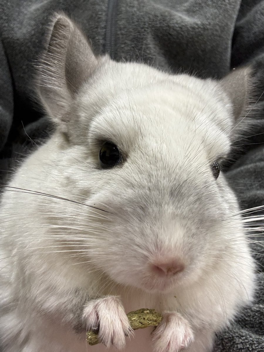 JHスタッフ tweet media