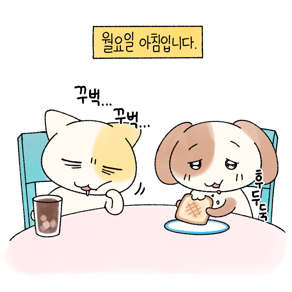 묘냥이와 멍구 tweet media