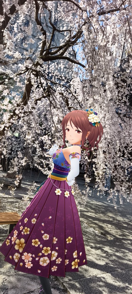 桐古堂 tweet media