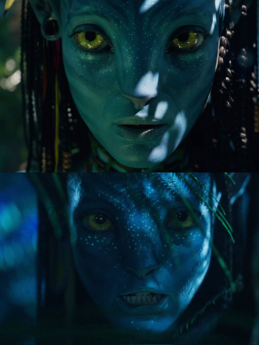 ≫≫═𝐩𝐫𝐢𝐦══➣ tweet media