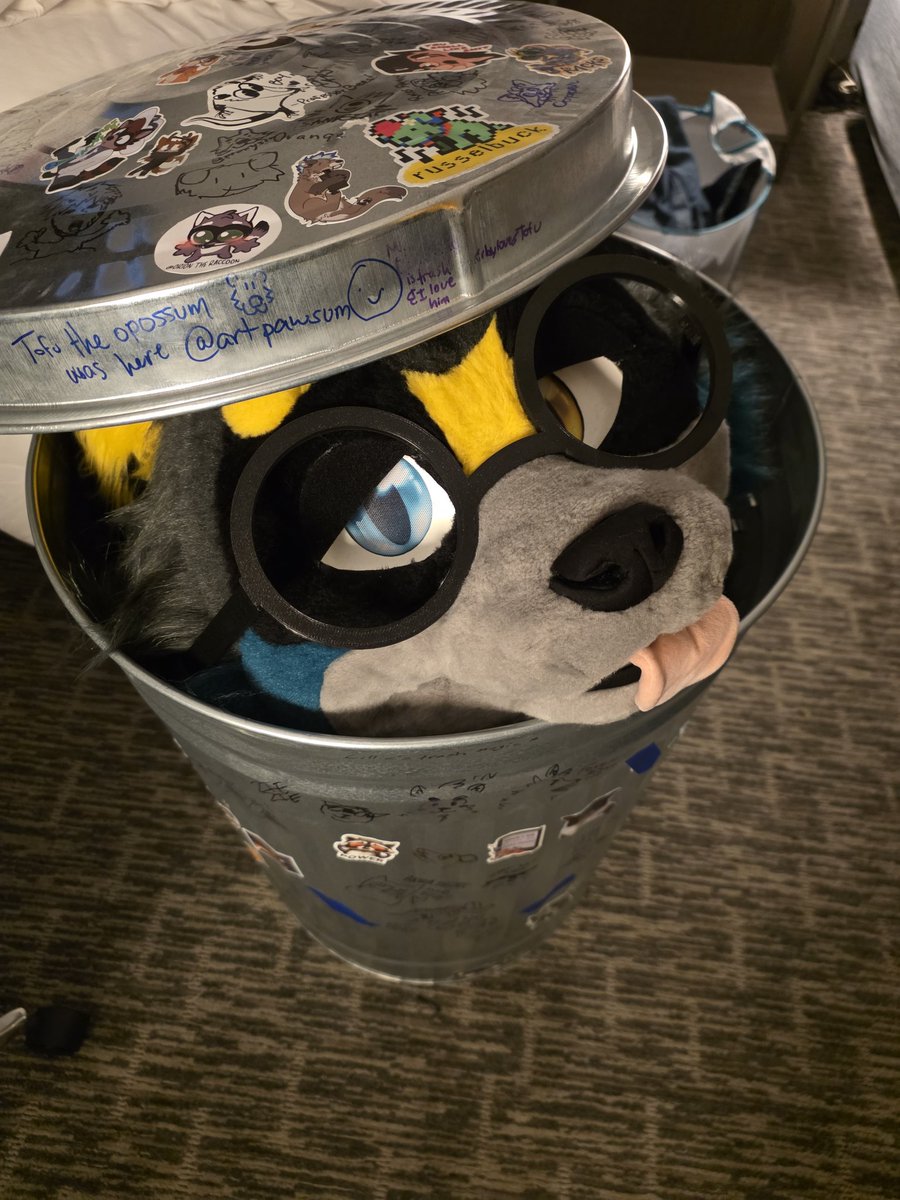 RacksTheRaccoon🔜TFF tweet media