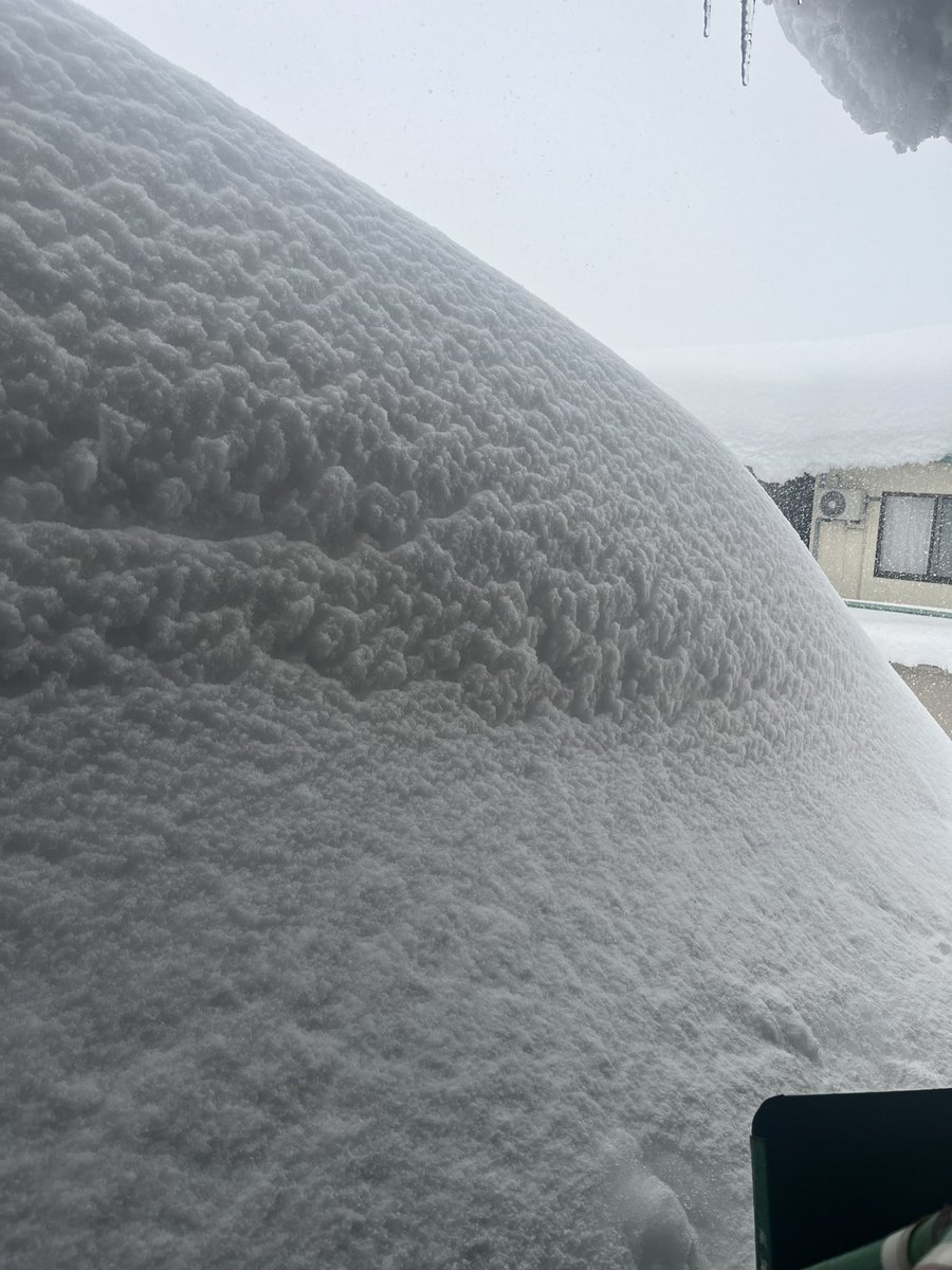 マー君 tweet media