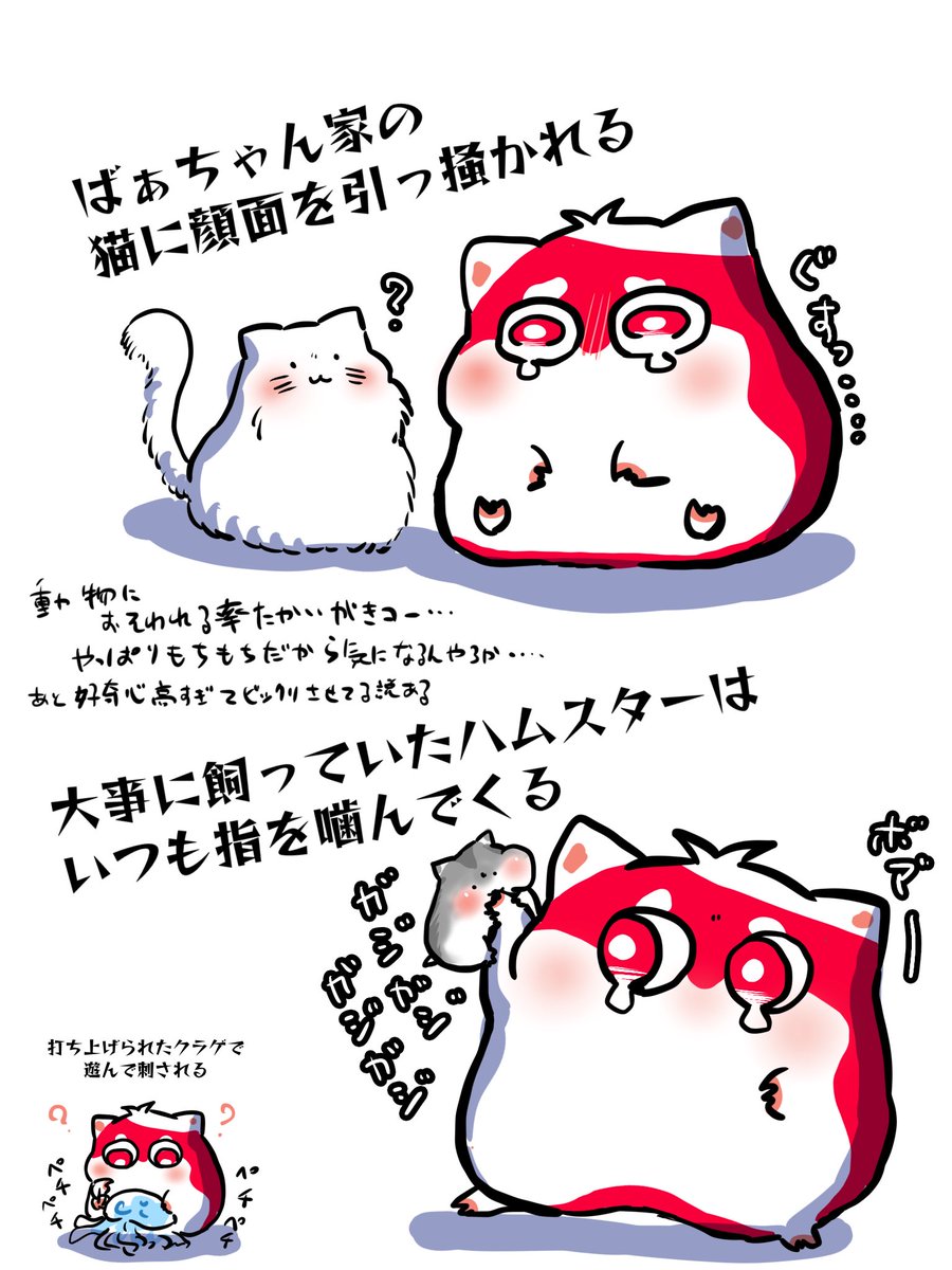 しゃんへき。超多忙期 tweet media