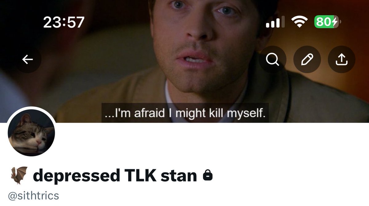 ᵕ̈ sara tweet media