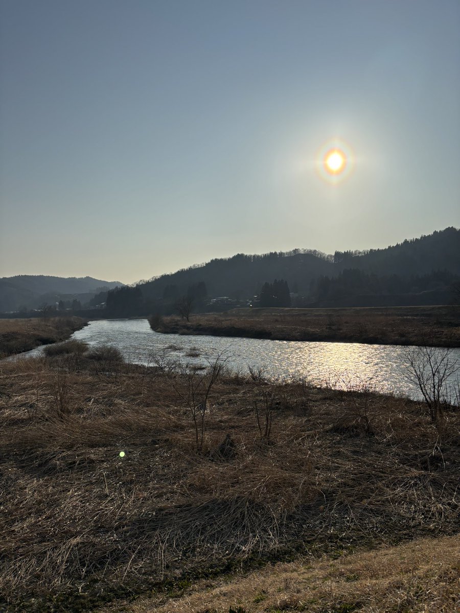 トミー tweet media