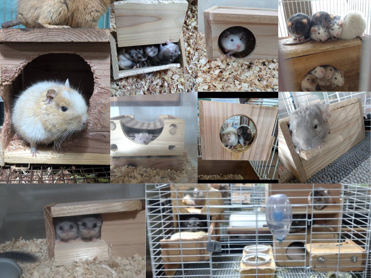 JHスタッフ tweet media