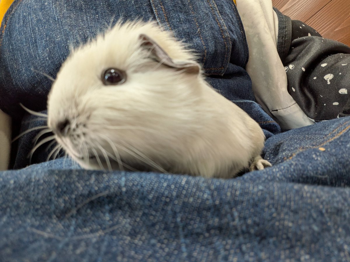 JHスタッフ tweet media