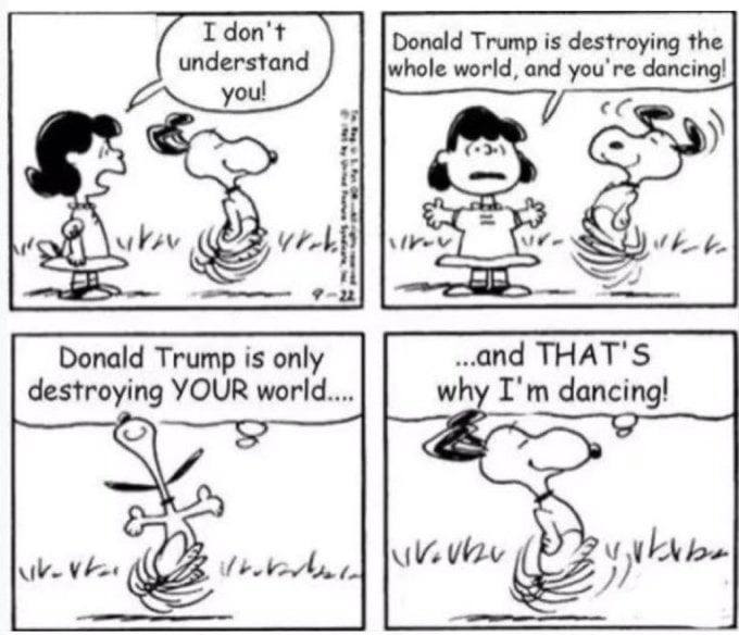 Populo Iratus tweet media