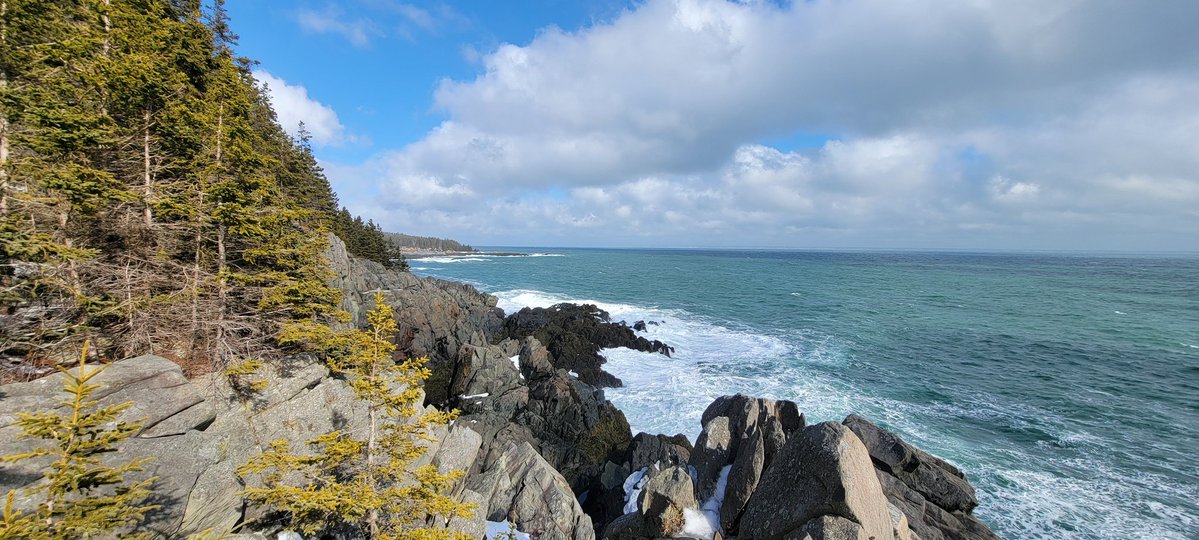 Mainely Greg tweet media