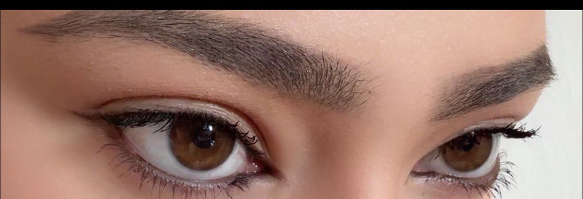 Amar🇽🇰 tweet media