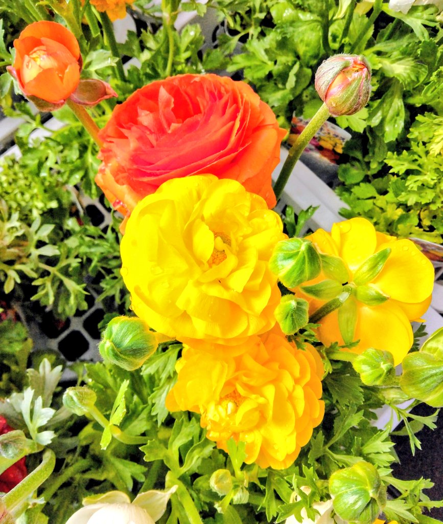 梶原斬鉄 tweet media