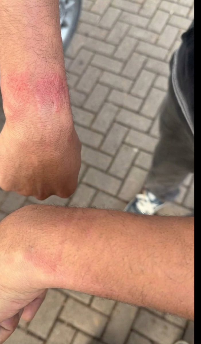 Diana Monsalve tweet media