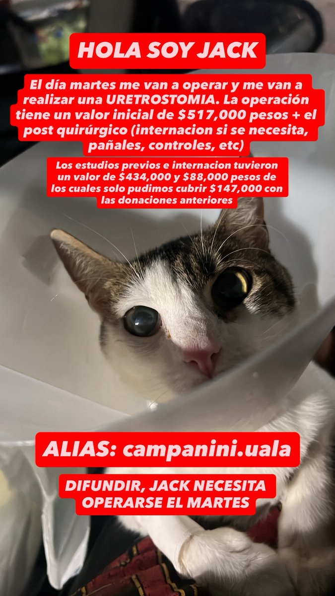 Del ★ tweet media