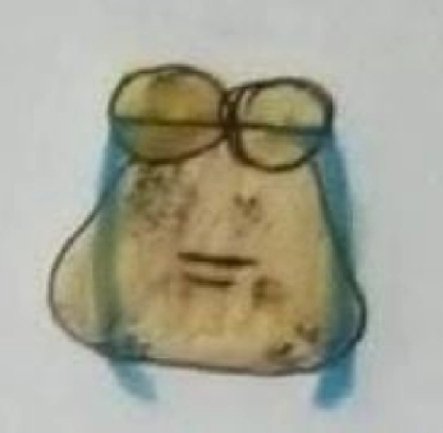 ◢✮⋆⋆ 🪶`CV`🍉⋆⋆✮◤ tweet media