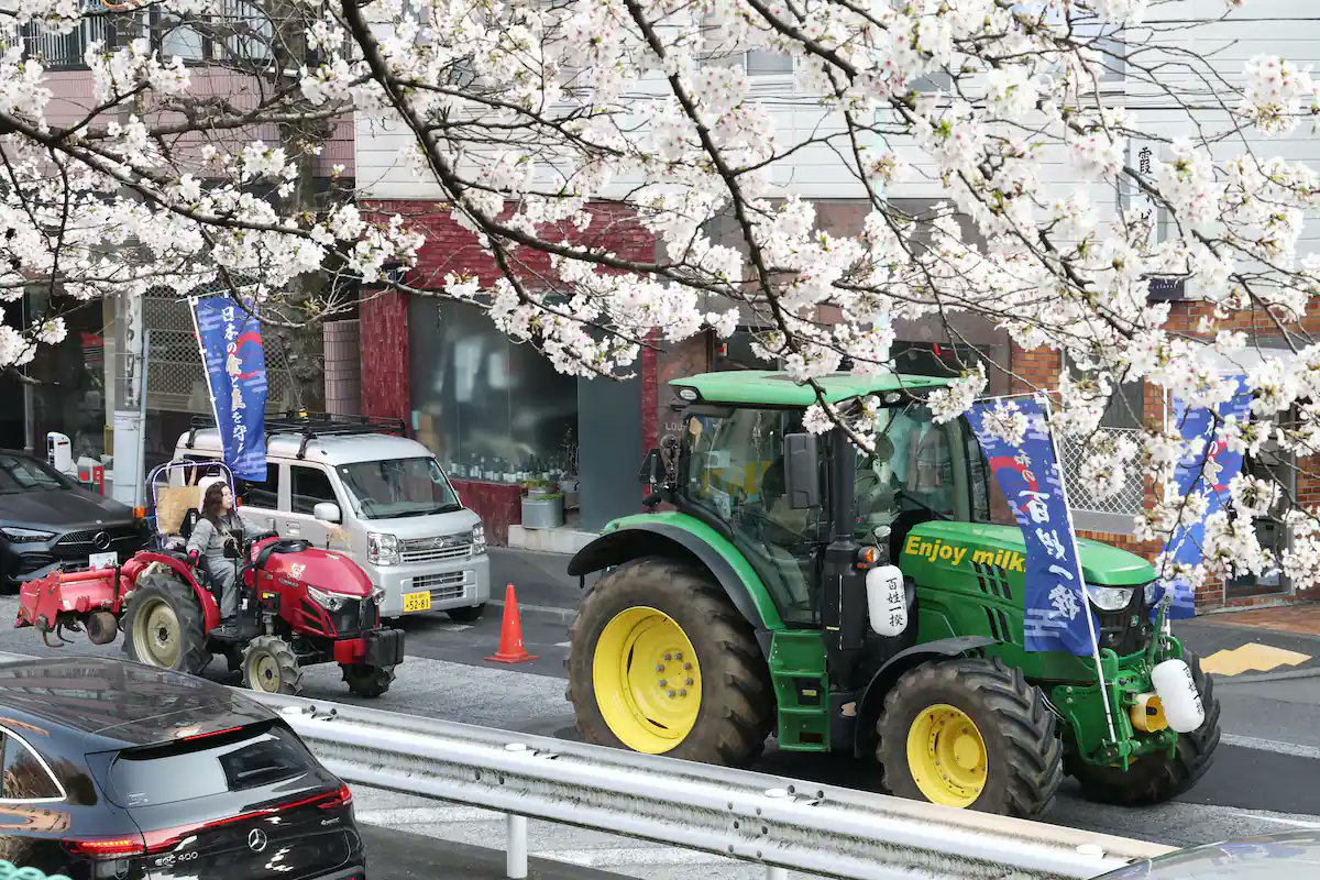 New Direction AFRICA tweet media