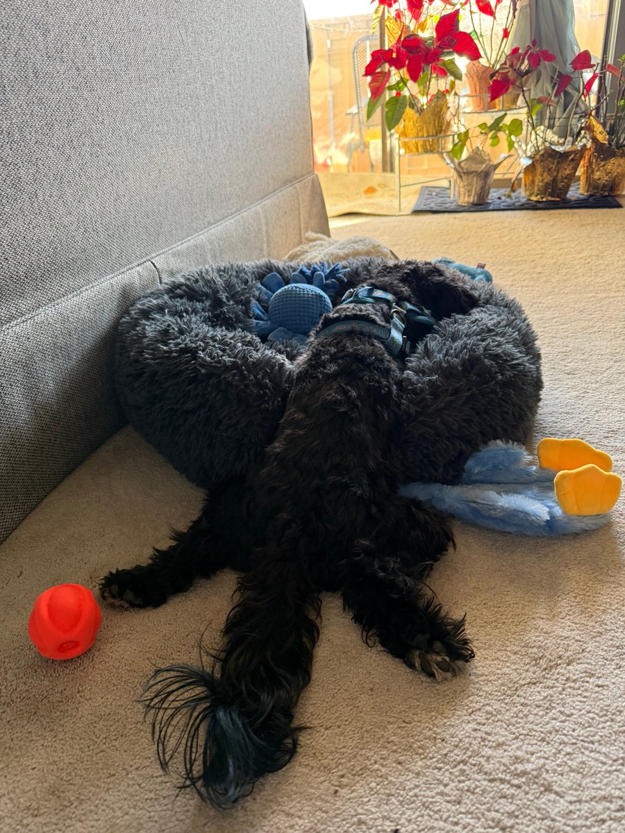 Mary 0Neil tweet media