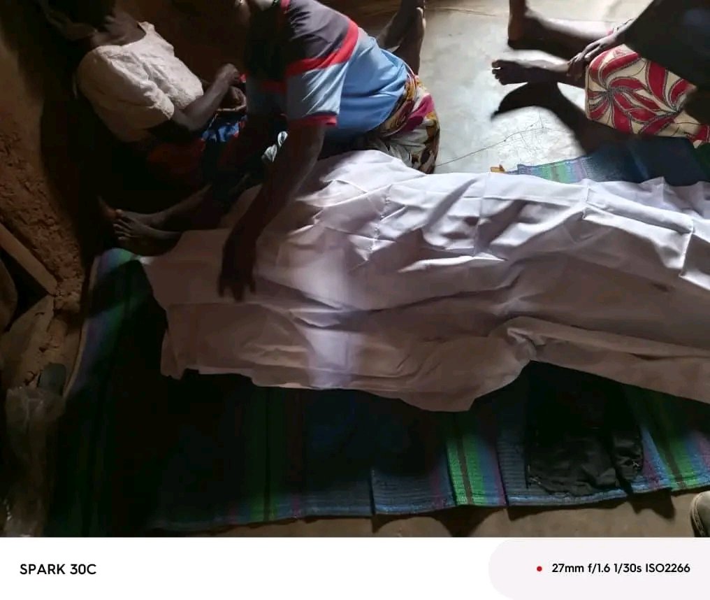 David Dokuma tweet media