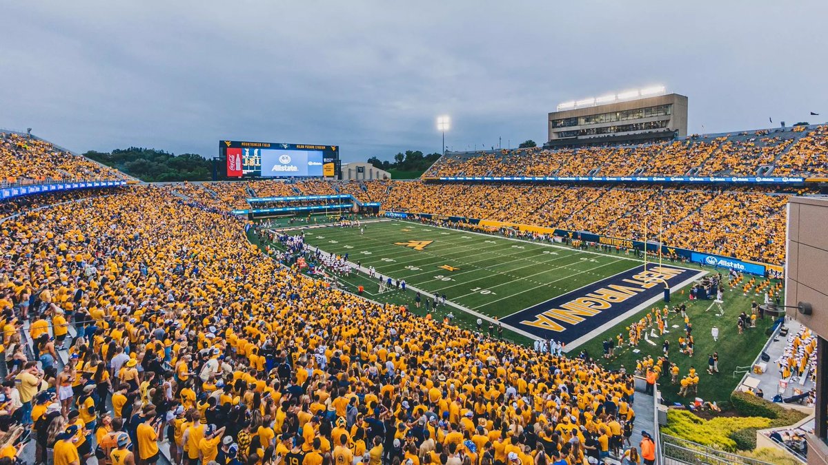 Roman combs tweet media