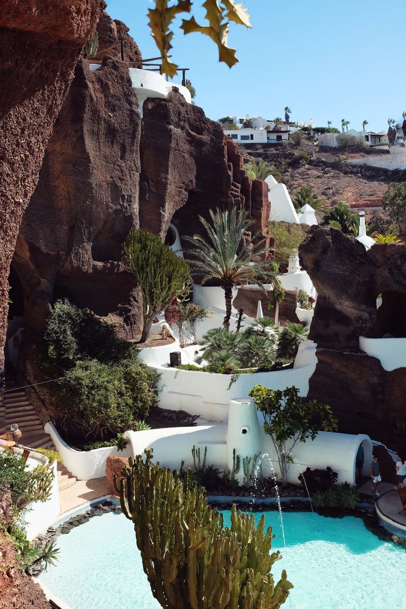 EdenOnEarth tweet media