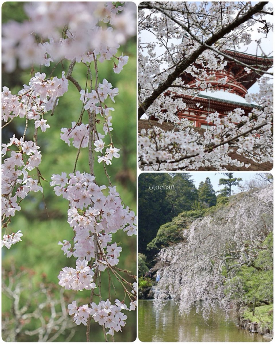 おと(響) tweet media