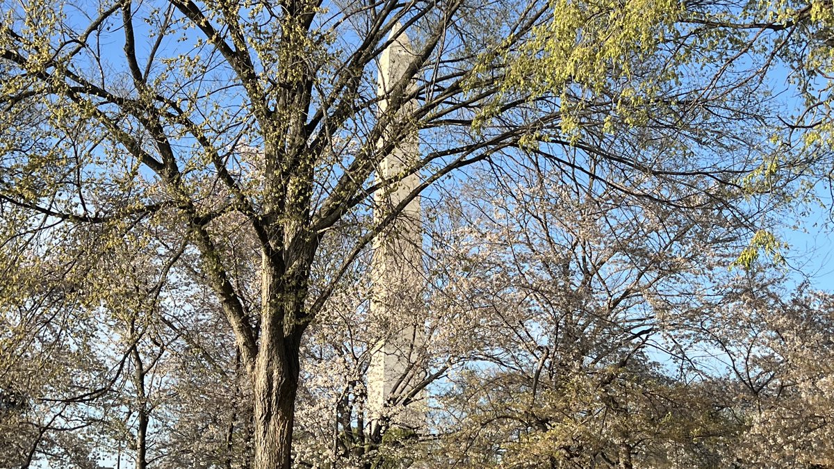 Girish Pokhrel tweet media