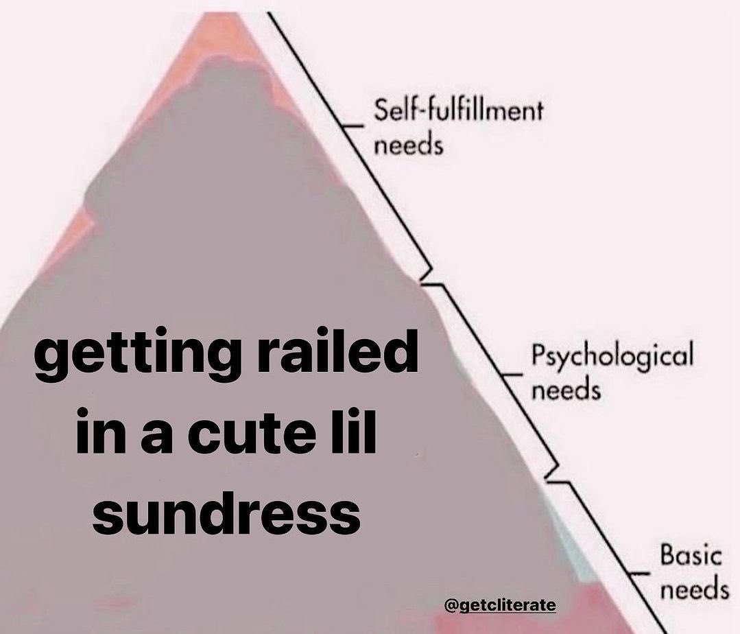 ᵣₑᵢₖₒ tweet media