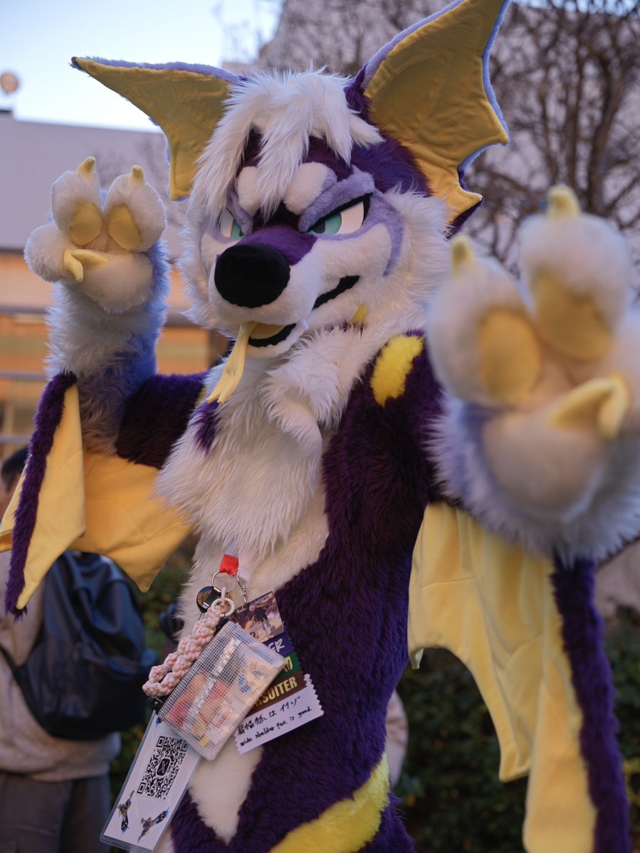 ピースピース✌️✌️
#ケモノをみて今週もがんばりマンデー

📸:<a href="/tadano_kemono/">白狼/蒼月(Sougetsu)</a> さん