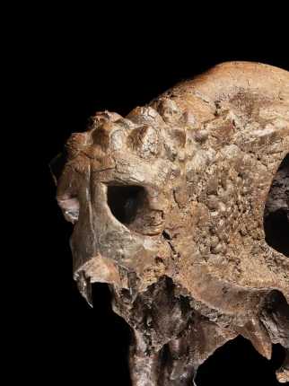 EDGE Central tweet media