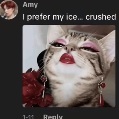 invasionisthename tweet media