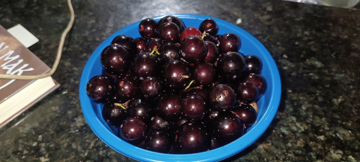 Lampião Matad0r de Ma€umbeir0 Rebirth tweet media