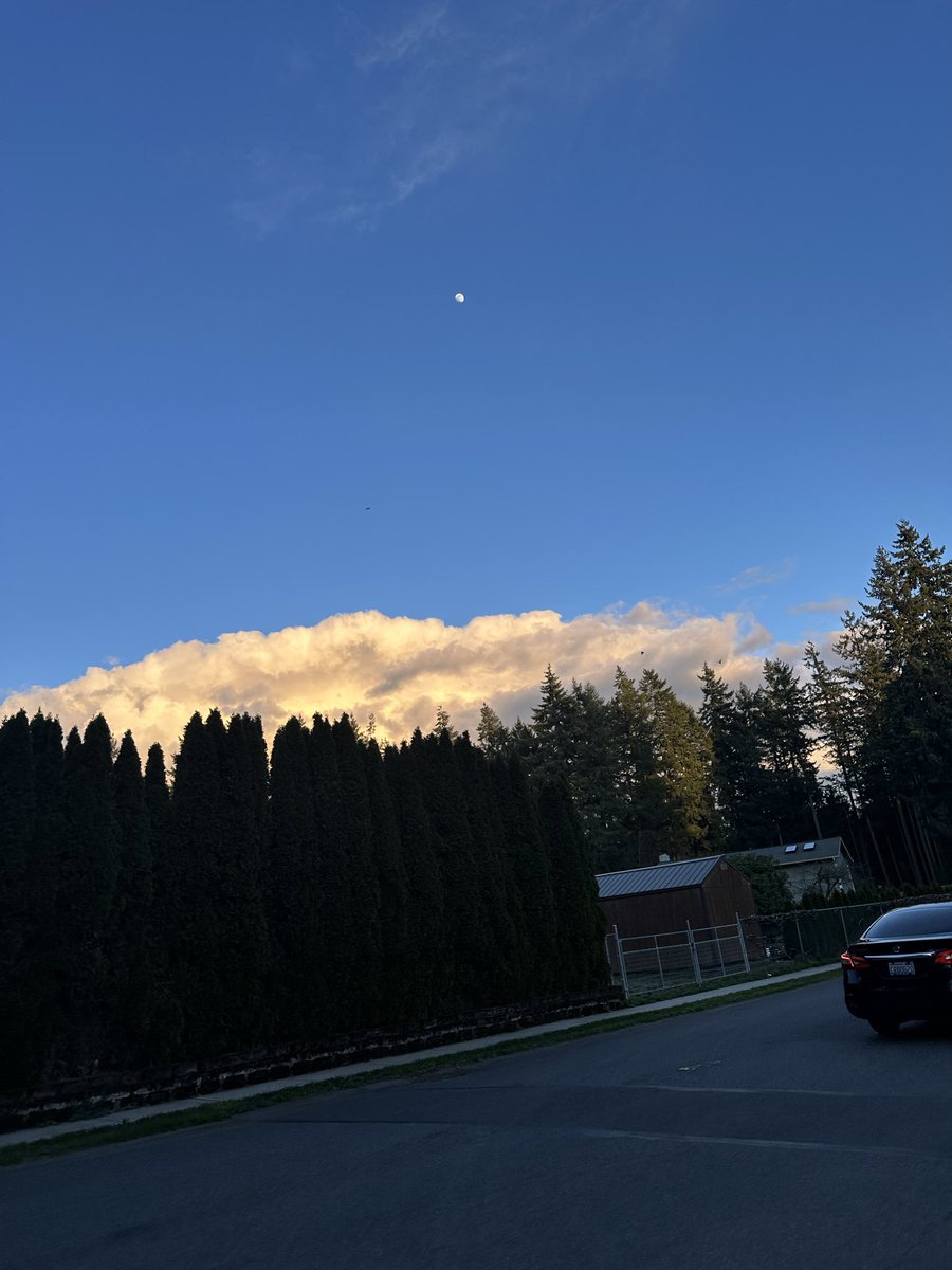 moofin🔜 home🔜2.0 tweet media