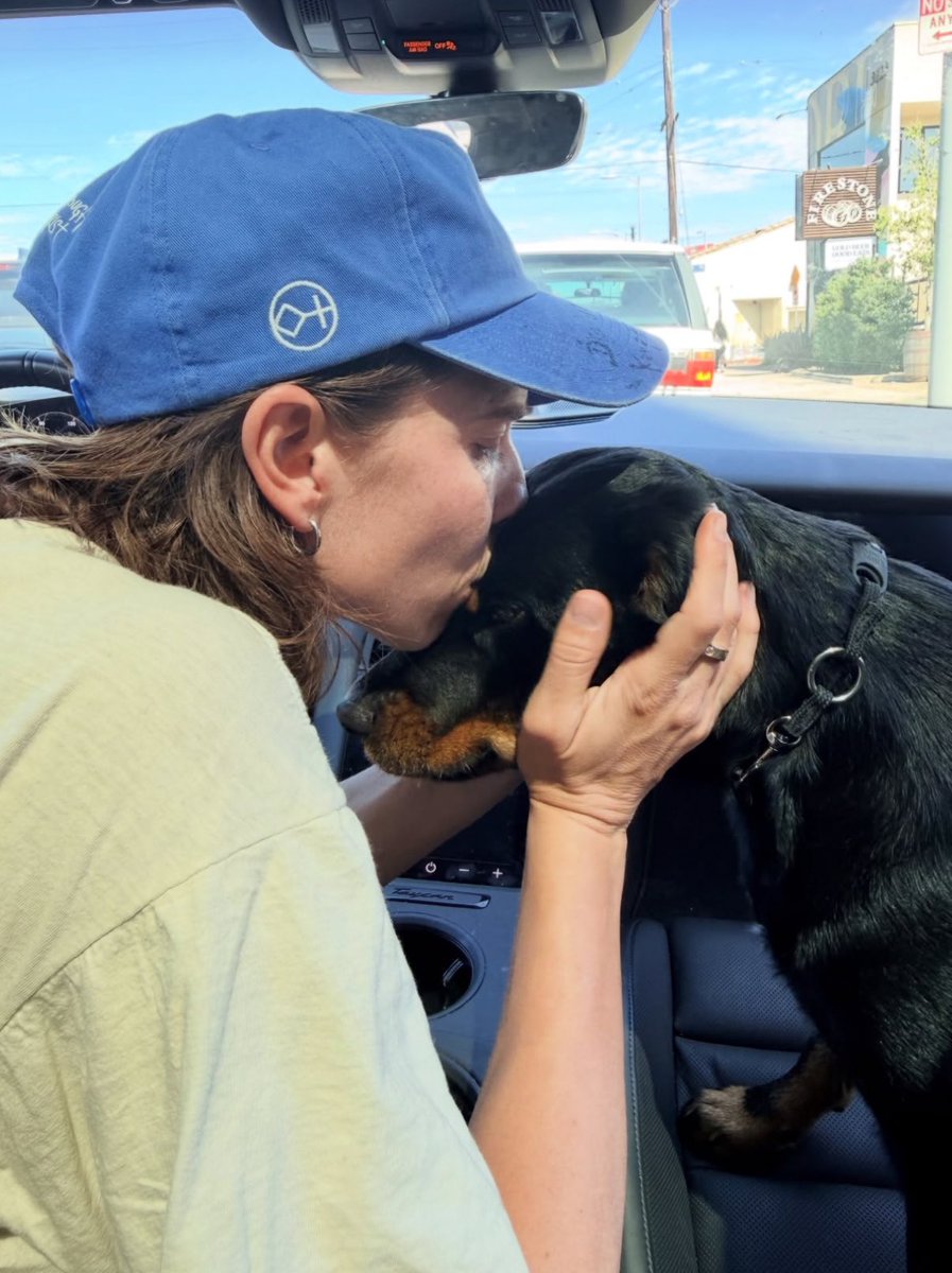 nic 🗽 tweet media