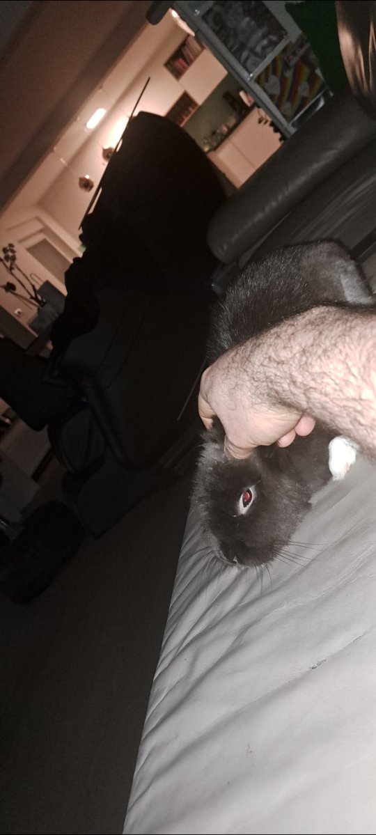 Johnie Homeless, EuroR3tardio tweet media