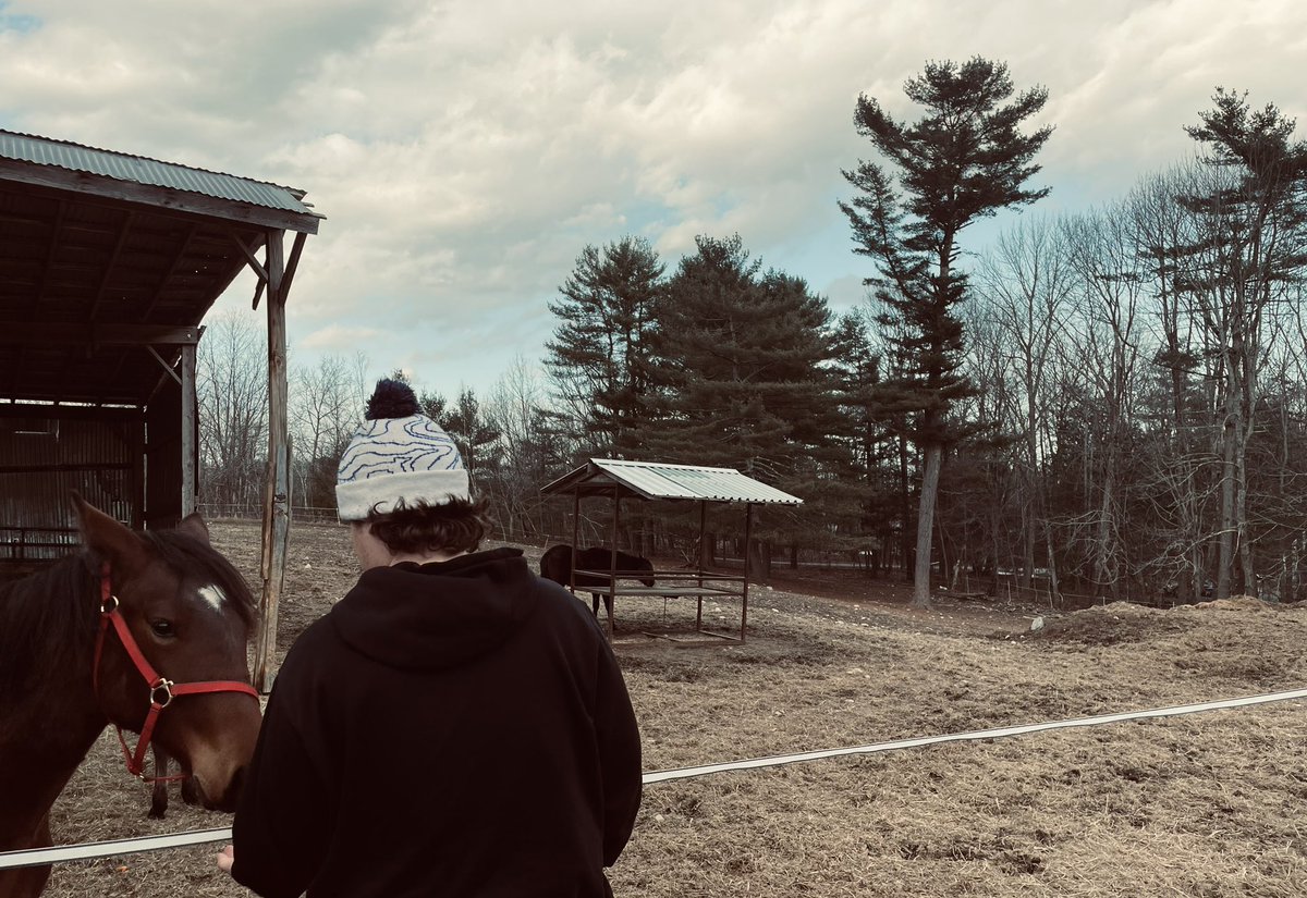 Ivory Pine Syndicate tweet media