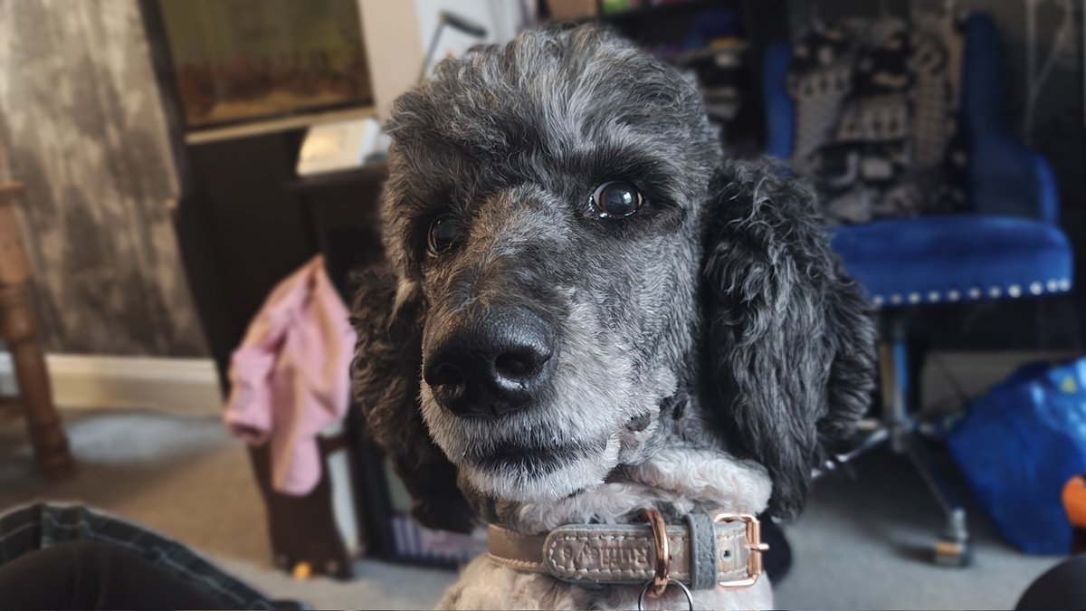 𝕊𝕠𝕔𝕜𝕠 🧦 🎮 tweet media