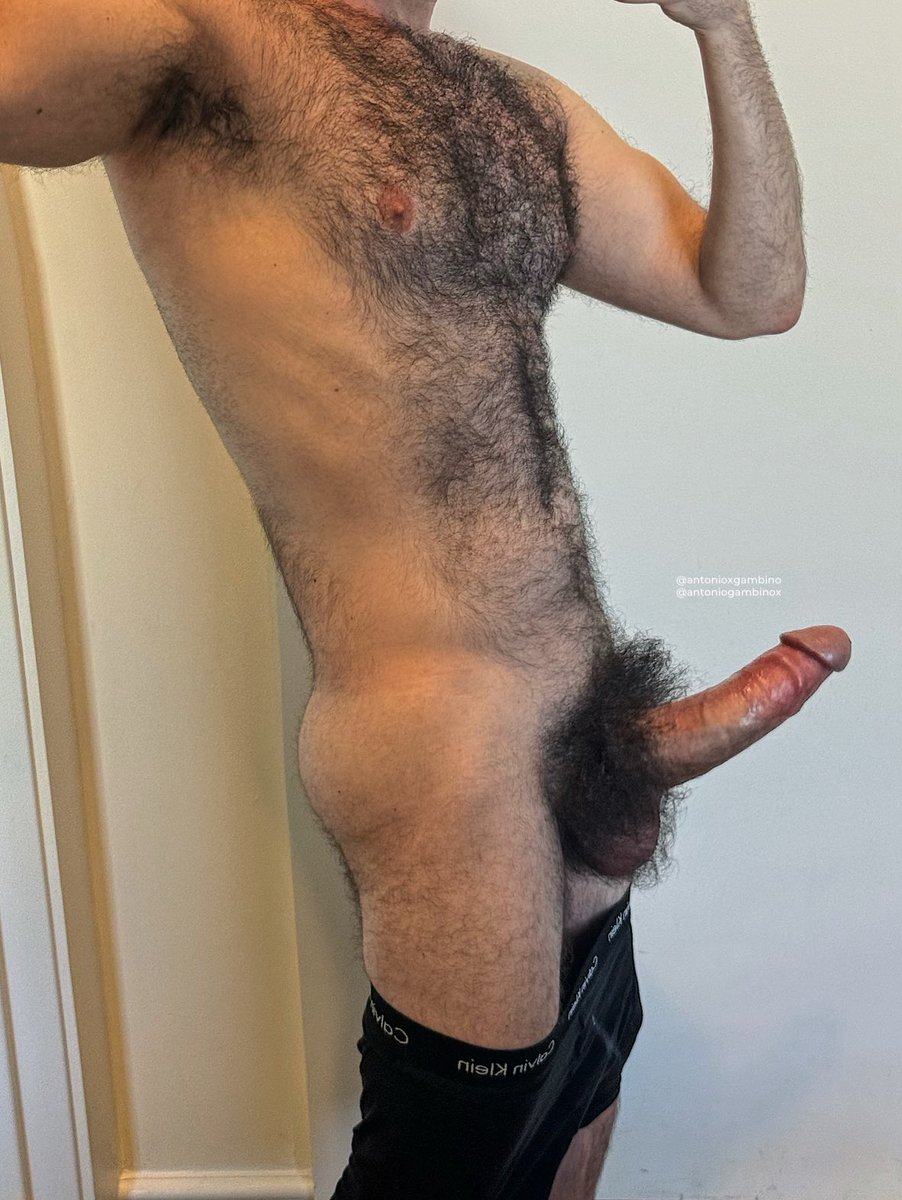 Antonio Gambino (Bush King 🤴) tweet media