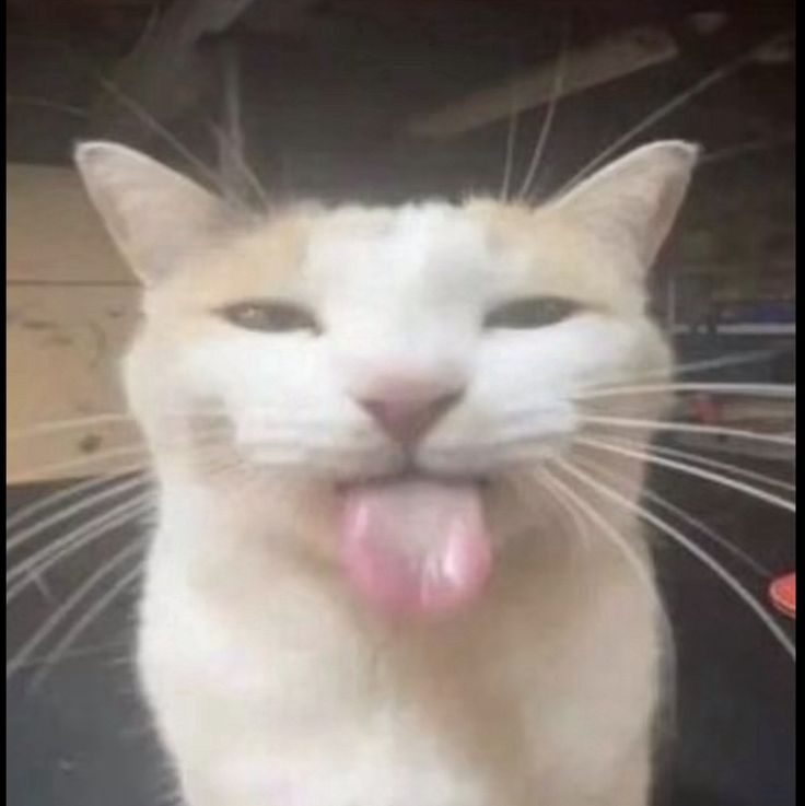 Ghost Ain tweet media