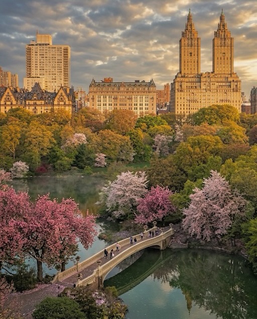 Ethereal Cities tweet media