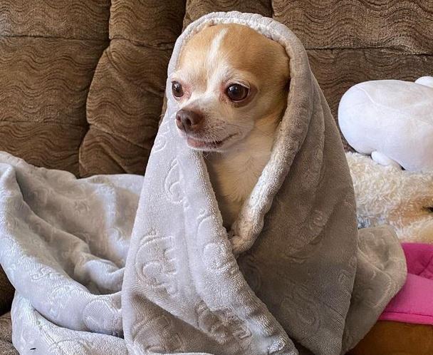 Franklyn tweet media