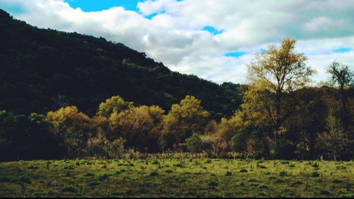 Juju ❥ crocheteira&blzeira 🧶💏🏻 tweet media