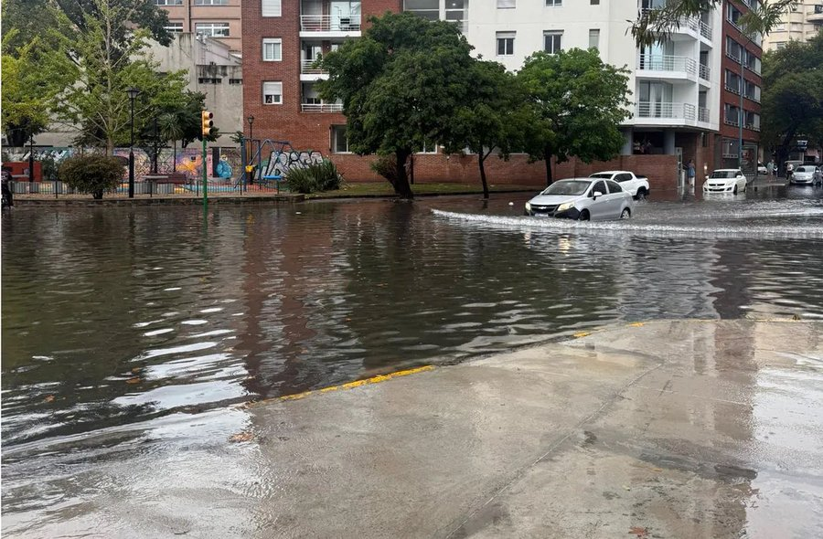 Jose Fructuoso Rivera y Toscana tweet media