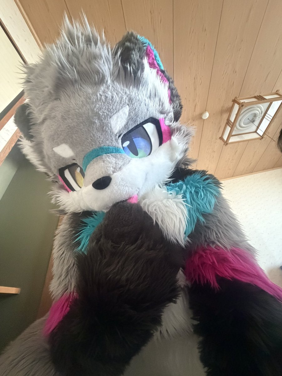 ヴェルク→未定 tweet media