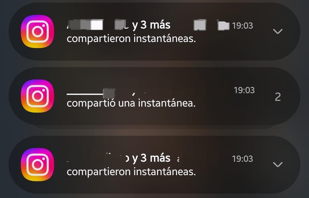 isa bella tweet media