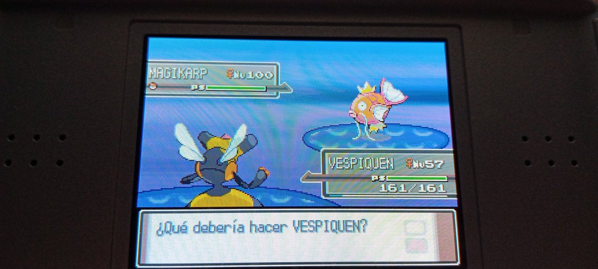 Rana🐸 tweet media