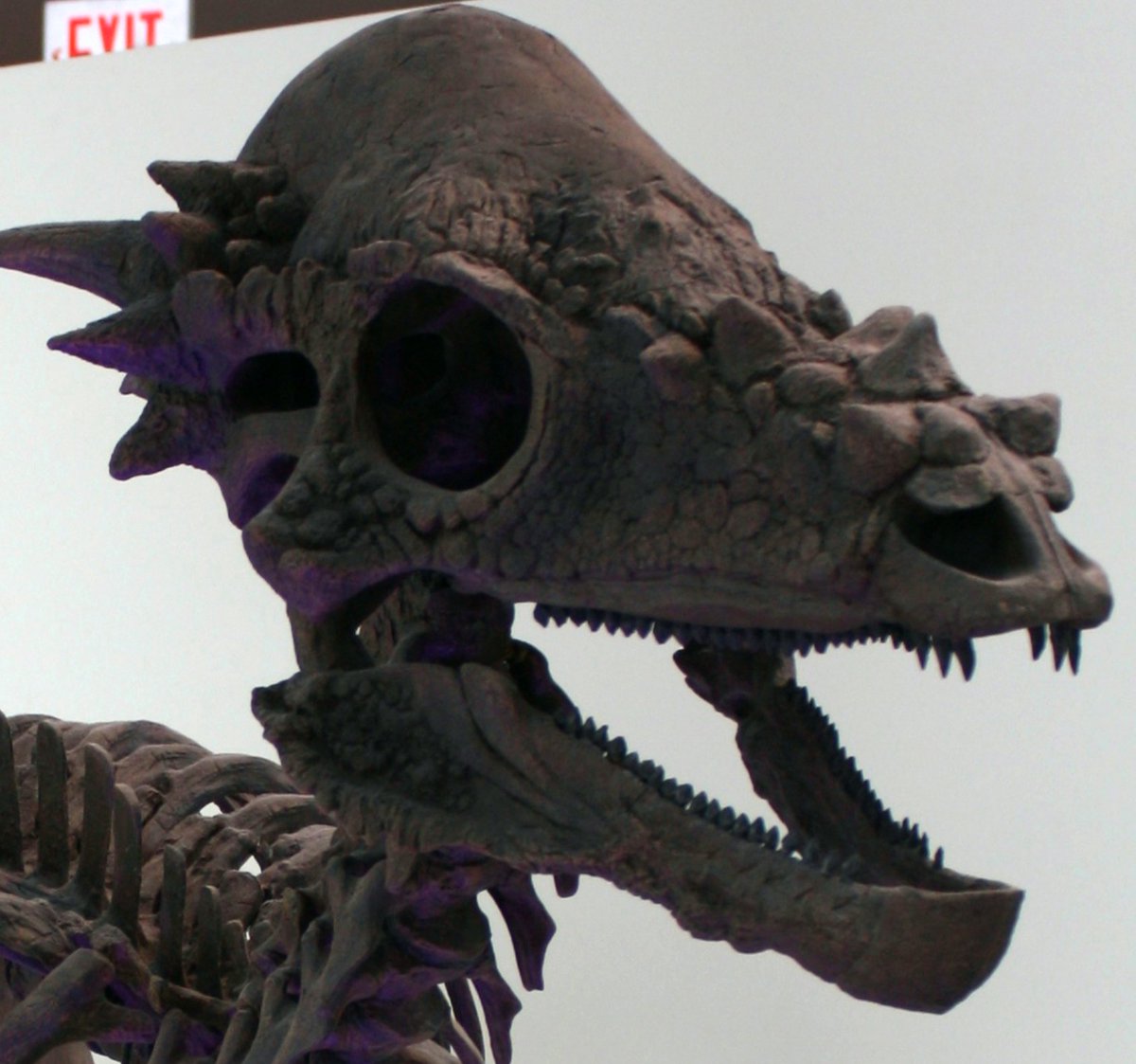 EDGE Central tweet media