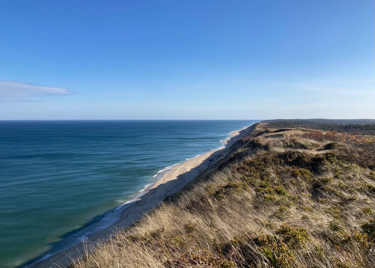 CelticLad tweet media