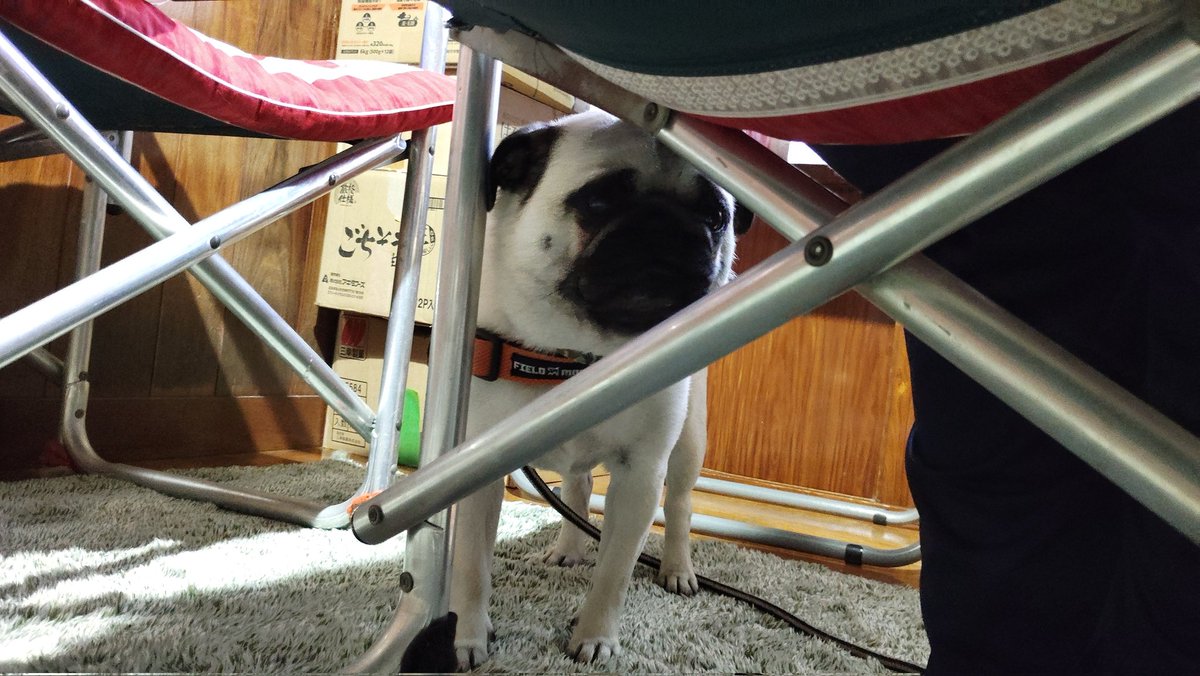 いんでぃ tweet media