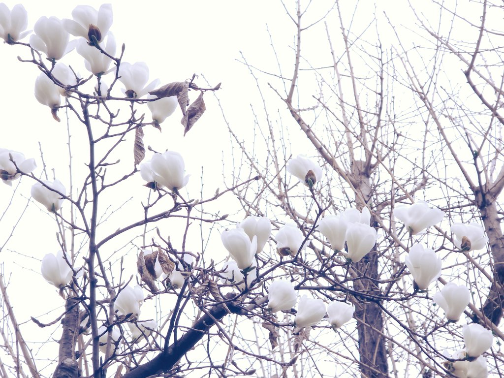 곰곰상🐻 tweet media